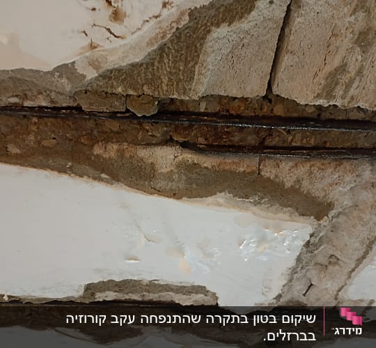 תקרת בטון עם סדקים וברזלי זיון חשופים